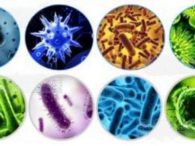 UV灯光对人体的作用